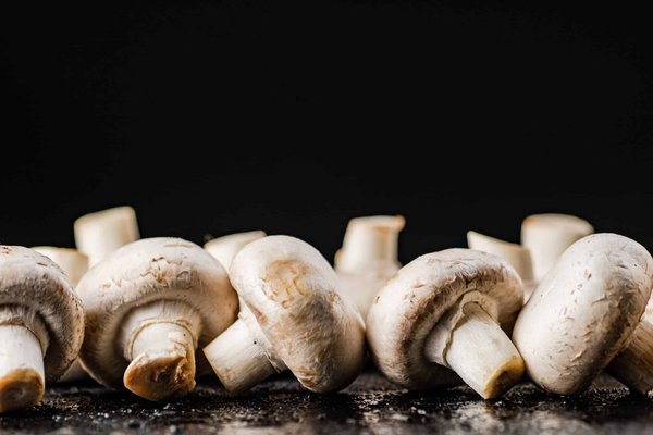 5 recettes de plats salés à base de champignons sauvages
