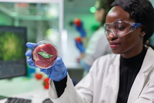 Comment faire des repas végétariens riches en calcium ?