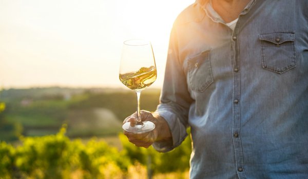 Le vin biodynamique :  une approche innovante de viticulture